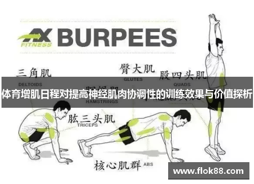 体育增肌日程对提高神经肌肉协调性的训练效果与价值探析